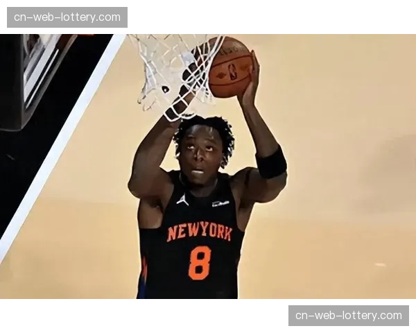 尼克斯阿奴诺比12分5篮板 3D侧翼角色完美适配体系